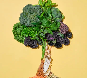 Ditch ultra-processed meat alternatives.